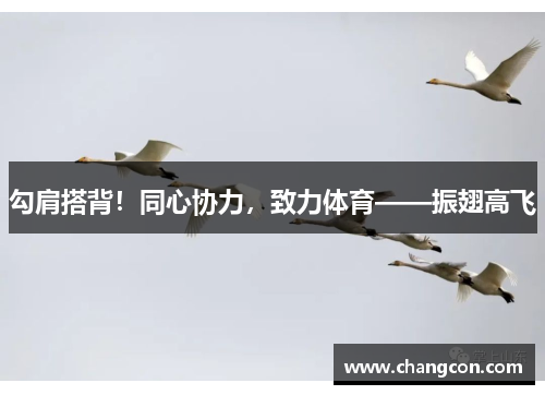 勾肩搭背！同心协力，致力体育——振翅高飞